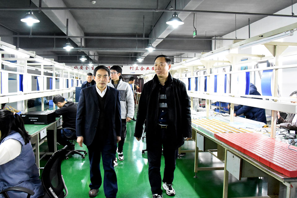 竹溪县政府领导调研天行在线